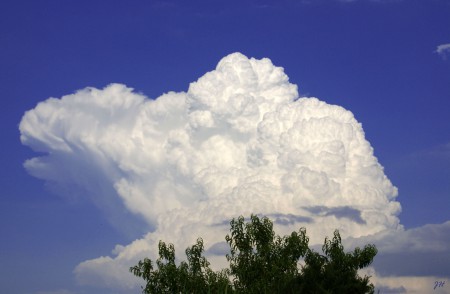 Schildkröte am Himmel